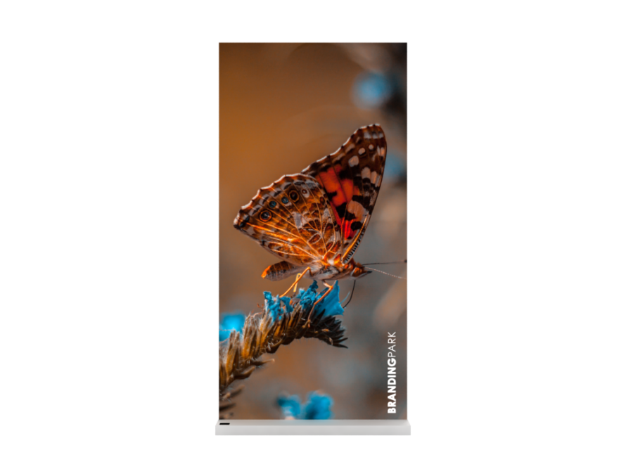 Quick-Frame-Battery-03