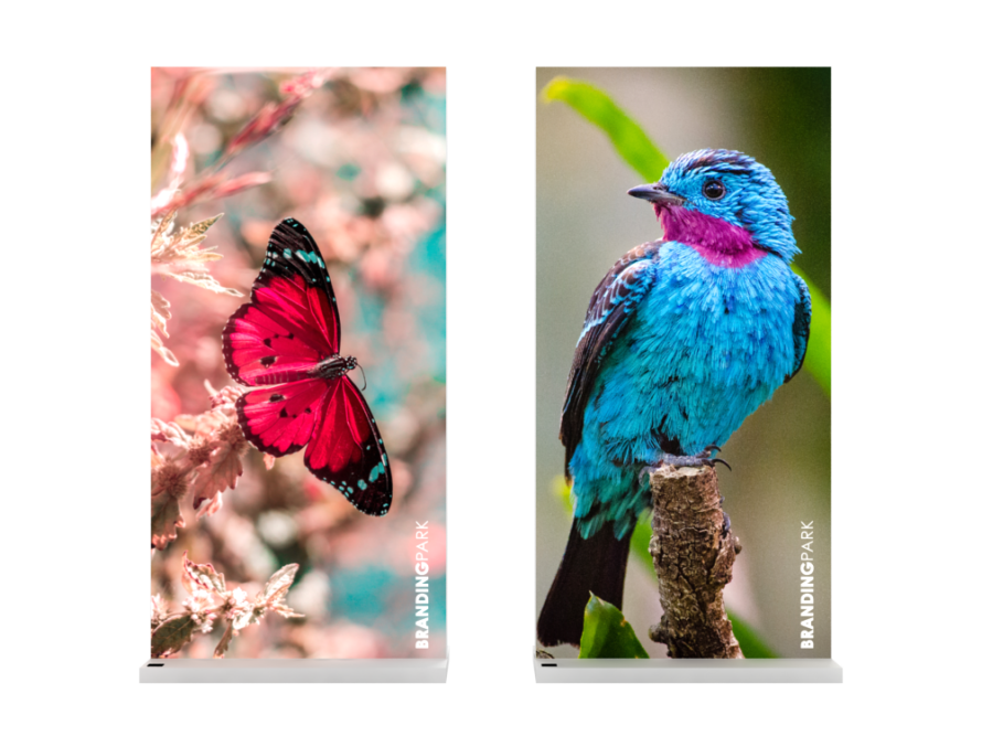 Quick-Frame-Battery-04